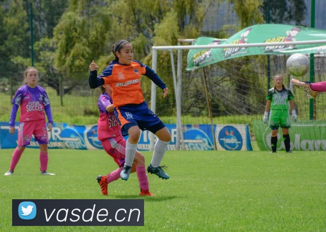 乐鱼体育官网登陆入口发展历程